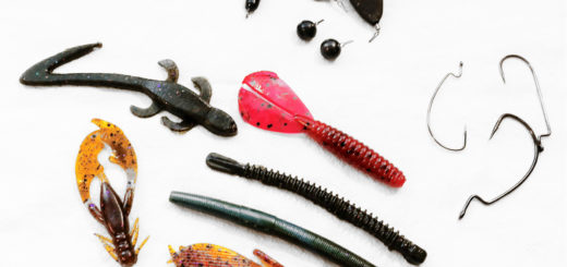 Soft Plastic Lures / Baits: Fishing a 10-inch worm – Ultimate Fishing  Worldwide Fishing News